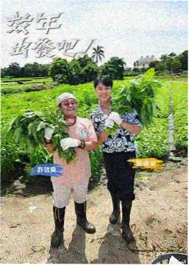 天堂中文资源在线观看 美食综艺深夜食谈海报