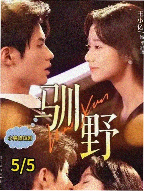 天堂中文资源在线观看 欧美剧集玻璃季风海报